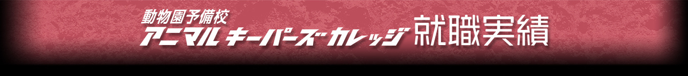 就職サポート