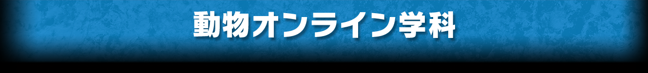 動物オンライン学科
