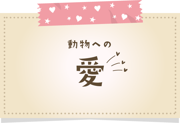 動物への愛